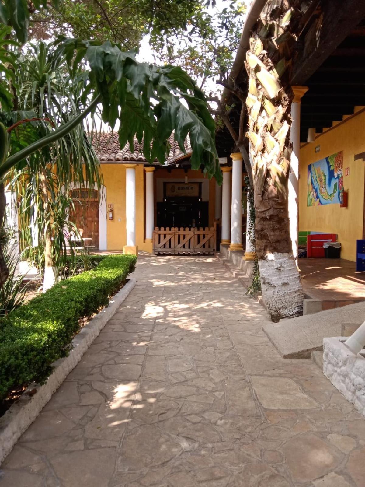 Rossco Hostel San Cristobal de las Casas Exterior photo
