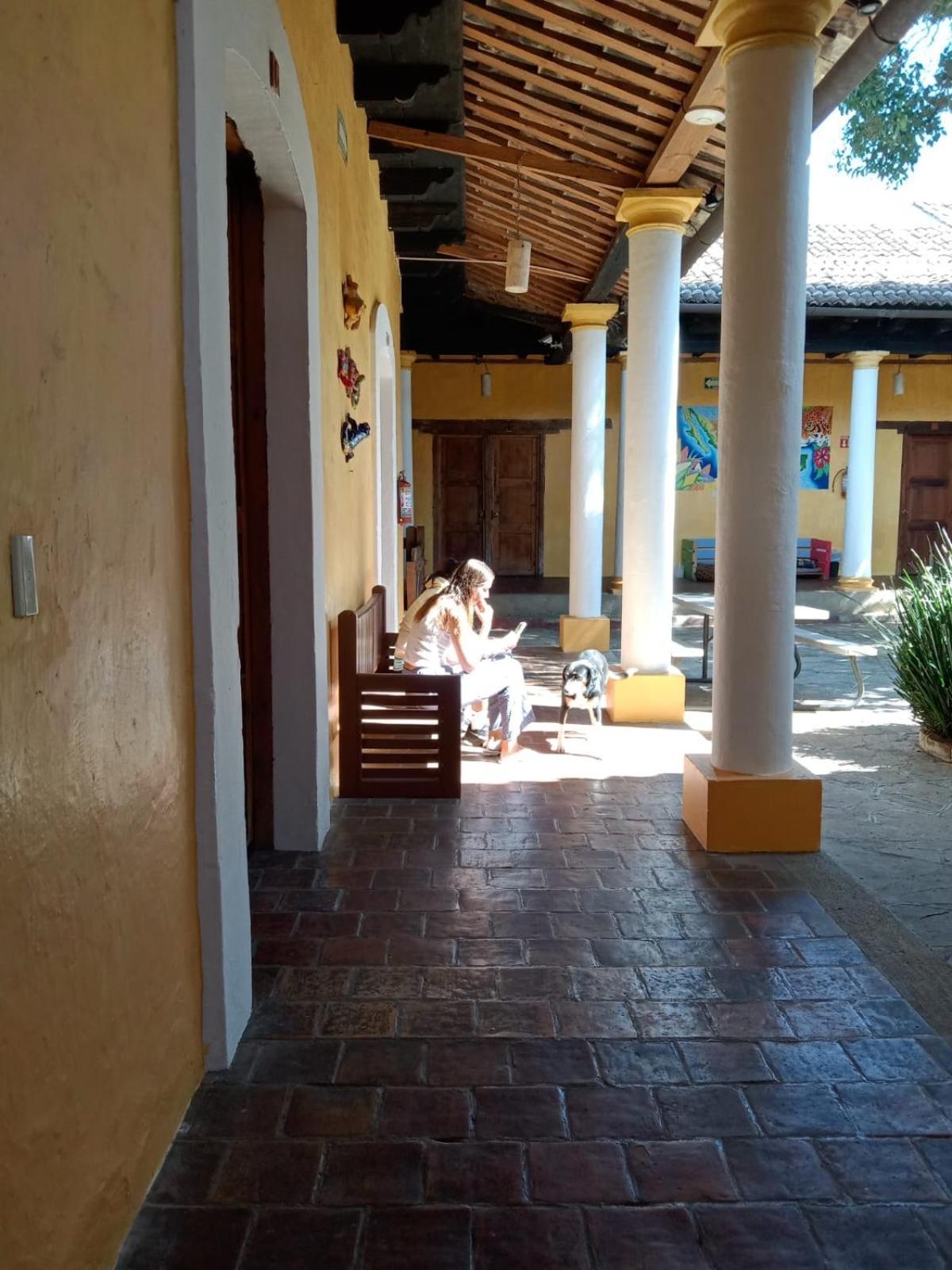 Rossco Hostel San Cristobal de las Casas Exterior photo